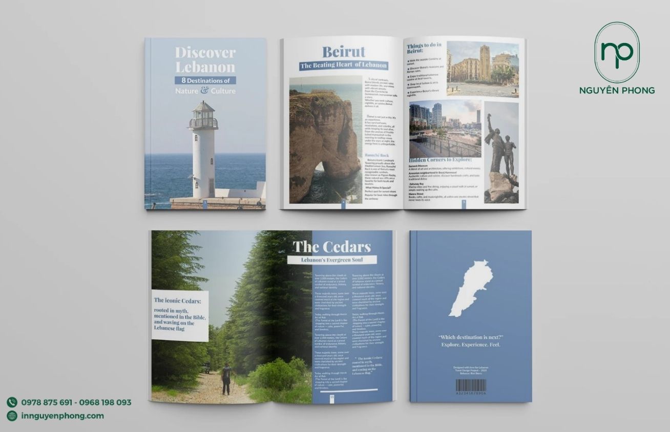 Layout trong thiết kế 12